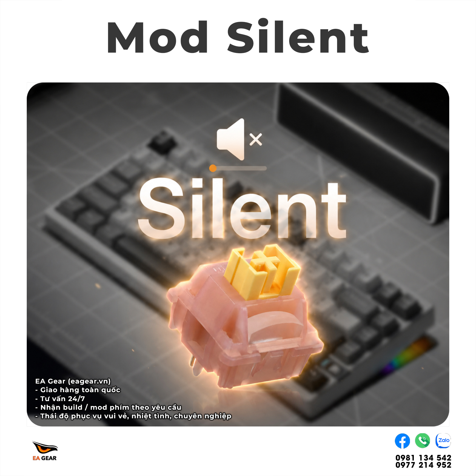 Mod Silent - "Độ" Im Lặng Cho Bàn Phím Cơ